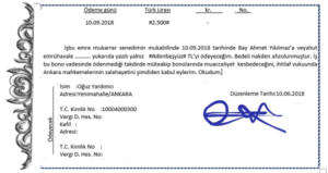 Read more about the article Ciro Silsilesinde Kopukluk ve Etkileri